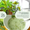 Sauerampfer Samen - Heilkräuter Saatgut aus biologischem Produktbild-Vorschau 3