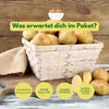 Laura Pflanzkartoffeln 2,5kg vorwiegend festkochend, Produktbild-Vorschau 4