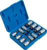 SATRA | Bit-Einsatz-Satz, 12tlg, H5-H22, 55MM, Produktbild-Vorschau 7