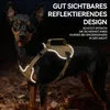Hundegeschirr mit Leine, X-Design, verstellbar, kein Produktbild-Vorschau 6