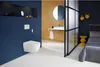 Geberit AquaClean Alba WC-Kompletta­nlage Wand-WC, weiß, Produktbild-Vorschau 7