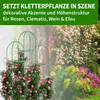 TTL GARDEN Rankhilfe Obelisk L 165x40cm grün – Rankgitter Produktbild-Vorschau 6