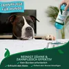 Vets Best, refrescante para el aliento de perros, 500 ml Vista previa de la imagen del producto 5