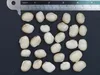 Fagiolo vellutato (Mucuna pruriens)  - 5 semi Anteprima dell’immagine prodotto 4