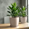 Květináč KADAX "Turi", květináč s podšálkem, 18 cm, béžový Náhled obrázku produktu 11