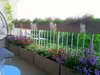 Prosperplast Blumenkasten RATO CASE Weiß 60 cm Produktbild-Vorschau 30