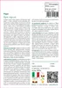 SAFLAX  - Pepe  - 20 semi - Con substrato - Piper Anteprima dell’immagine prodotto 3