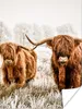 MuchoWow® Poster Schottischer Highlander - Kuh - Tiere Produktbild-Vorschau 1