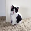 Türstopper »Katze« Produktbild-Vorschau 3
