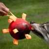 Dog Comets Ball Hypernova - Grün Náhľad obrázku produktu 2