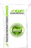 Rasensamen GF Regeneration Grass 1kg Nachsaat Rasen Produktbild-Vorschau 7