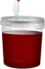 Secchio di fermentazione KADAX 33L, set trasparente con Anteprima dell’immagine prodotto 6