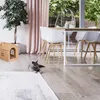 Relaxdays Casetta per gatti in cartone, tana per gatti con Anteprima dell’immagine prodotto 5