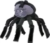 Beleduc Spider, jouet araignée, 3 ans(a) Voir les images du produit 2
