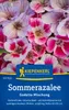 Artikelbild 2 von 'Sommerazalee Godetia Mischung' aus der Kategorie Azaleensamen Produktbild-Vorschau