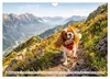 Cavalier King Charles Spaniel - Ein Jahr voller Erlebnisse Produktbild-Vorschau 11