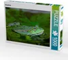 CALVENDO Puzzle Spiegelung. | 1000 Teile Lege-Größe 64x48cm Produktbild-Vorschau 1