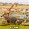 Hippopotame - Figurine d'animal Voir les images du produit 4