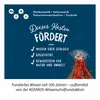 Kosmos Urzeit-Vulkan, Sopka, Rozvoj, 8 rok / roky Náhľad obrázku produktu 4
