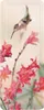 Kleine Wolke Wanneneinlage KOLIBRI Multicolor 36 x 92 cm Produktbild-Vorschau 1