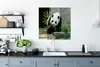MuchoWow® Poster Panda - Baumstamm - Höhle 75x75 cm - Wand Produktbild-Vorschau 3