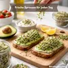 Samenshop24®  Keimsprossen "Brokkoli" Anzucht-SET,  Saat + Produktbild-Vorschau 7