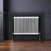 Radiatore tradizionale a 2 colonne - 600 x 832 mm - Bianco2 Anteprima dell’immagine prodotto 4