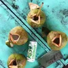 Several young coconuts, one with a straw, a can of coconut water, and a cleaver are arranged on a teal wooden surface. Produktbild-Vorschau