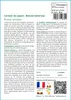SAFLAX Ensemble de culture - Cerisier du Japon - 30 graines Voir les images du produit 3