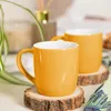 Argon Ta Farbige Kaffeetassen – 350 ml – Gelb – 4er-Pack – Produktbild-Vorschau 7