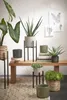 Mica Decorations Ascot Support pour plantes - L24 x l24 x Voir les images du produit 5