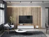 Platan Room Lowboard, Fernsehschrank 105/140/160/210/280cm Produktbild-Vorschau 3