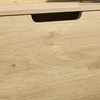 Detail der Holzfront des SoBuy Schuhschranks FSR100-N mit integriertem Griff Náhľad obrázku produktu