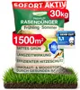DÜNGEMEISTER Rasendünger für Ihren sattgrünsten Traumrasen Produktbild-Vorschau 1