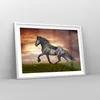 Gerahmtes Poster - Weißer Rahmen - Pferd Tier Wiese - 70x50 Produktbild-Vorschau 8