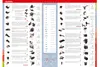 KLICKfix Handlebar Adapter for stem, Schwarz, Rot Produktbild-Vorschau 7