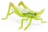Papo SAS, figuur van 4 cm, sprinkhaan, vanaf 3 jaar Productafbeelding-voorbeeld 6