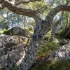 Fotocamera da pista grandangolare ZEISS Secacam 5 Anteprima dell’immagine prodotto 9
