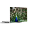 MuchoWow® Laptop Aufkleber Sticker Cover Pfau - Federn - Produktbild-Vorschau 1