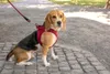 Curli Clasp Vest Geschirr Air-Mesh rubínová M Náhled obrázku produktu 11