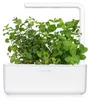 EMSA Click & Grow Peppermint Anteprima dell’immagine prodotto 8