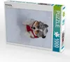 CALVENDO Puzzle Schneepflug | 1000 Teile Lege-Größe 64x48cm Produktbild-Vorschau 2
