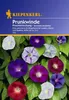 Kiepenkerl Prunkwindensamen Morning Glory Ipomoea purpurea Produktbild-Vorschau 10