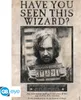 Wanted Sirius Black Maxi Poster - Harry Potter Produktbild-Vorschau 5
