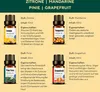 Duftöl Aromaöl Raumduft Massageöl Raumduftöl 100% Produktbild-Vorschau 3