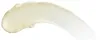 Burt’s Bees Handcreme Mandel & Milch 56,6 g Produktbild-Vorschau 2