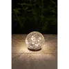 A glass sphere with embedded lights sits on a wooden surface, with dark foliage in the background. Anteprima dell’immagine prodotto