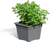 DELTA Pflanzkasteneinsatz anthrazit 32x32x26cm Produktbild-Vorschau 3