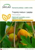 SAFLAX - Tropický meloun / papája - Carica papaya - 30 Náhled obrázku produktu 1