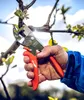 Löwe 10 | Kovadlinkové nožnice so zahnutým ostrím Náhľad obrázku produktu 10